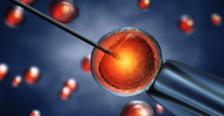 ICSI Treatment Specialist in Pune