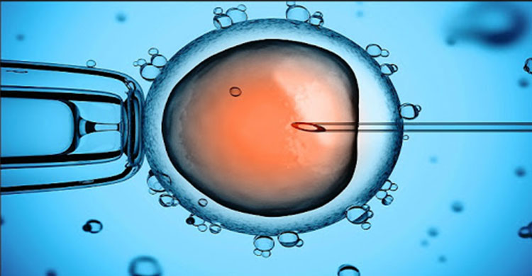 Ivf Treatment in Pune Ivf Treatment in Pune